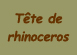 tete de rhinoceros