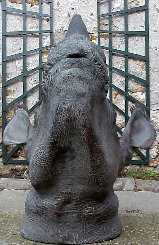 TETE DE RHINOCEROS NOIR