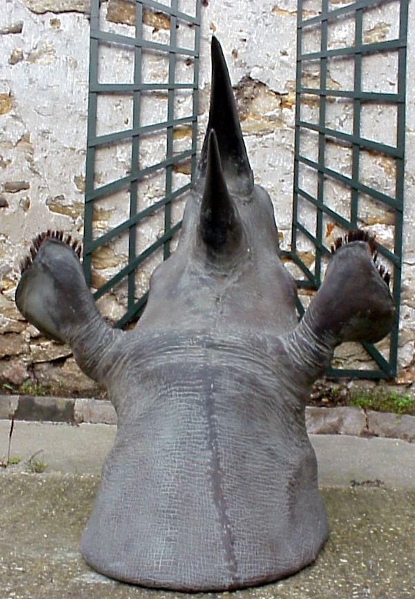 TETE DE RHINOCEROS NOIR